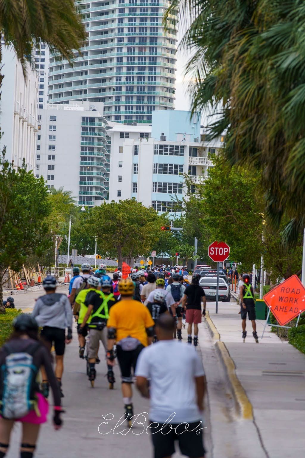 A line of skaters rolling down a palm-lined Miami street past a stop sign
